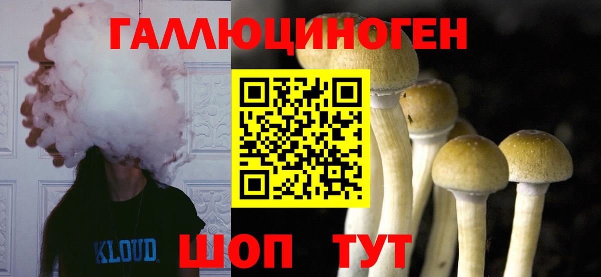 Галлюциногенные грибы Psilocybine cubensis  Вход с VPN  Фрязино  Псилоцибиновые грибы Magic Shrooms 