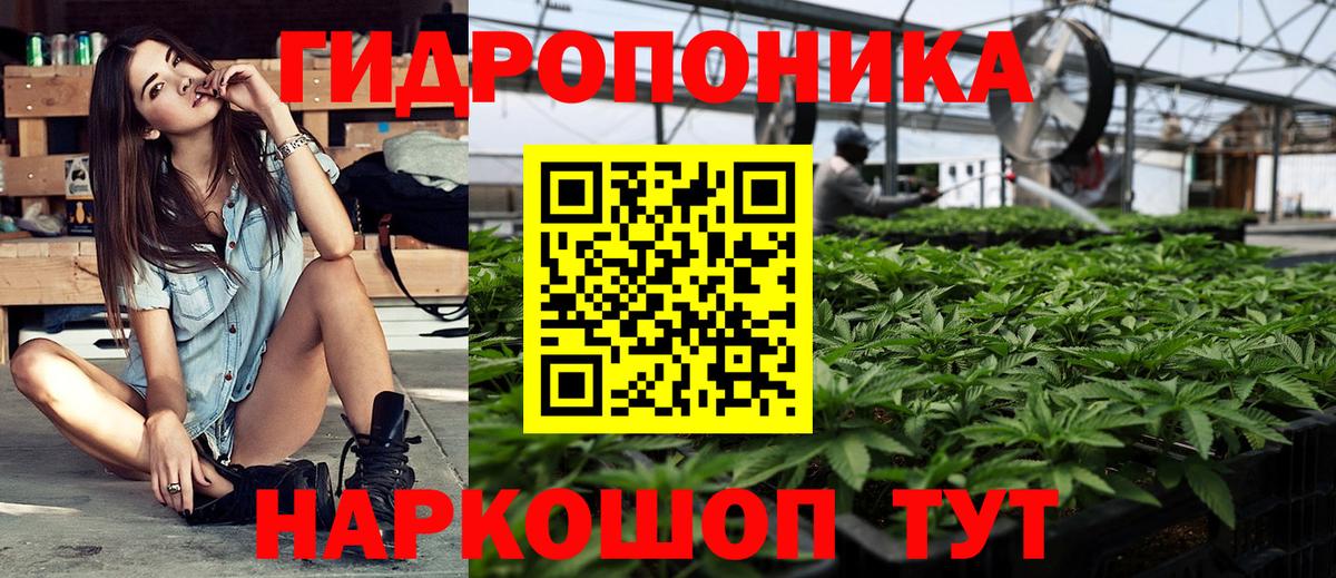 Марихуана MAZAR  МАРИХУАНА ГИДРОПОН  Канабис Bruce Banner  Фрязино  Вход с VPN 